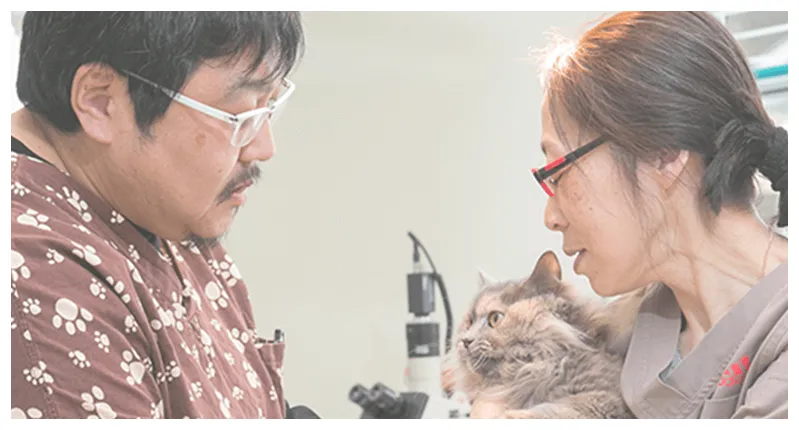 夫婦 2人3脚での治療