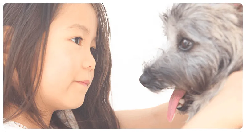 納得いただくまで しっかりと説明